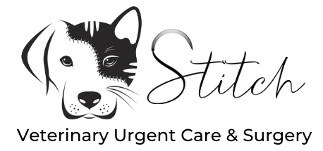 Stitch Logo